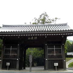 投稿日:2019年9月25日 写真