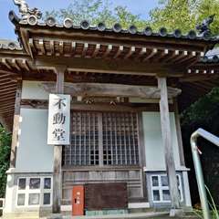 投稿日:2024年7月27日 写真