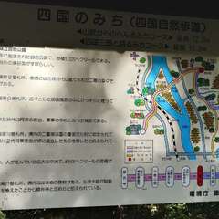 投稿日:2024年7月27日 写真