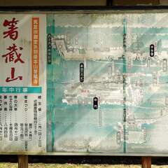 投稿日:2025年6月28日 写真