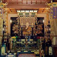 投稿日:2025年6月28日 写真