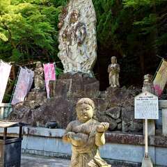 投稿日:2025年6月28日 写真