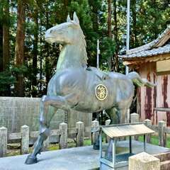 投稿日:2025年6月28日 写真