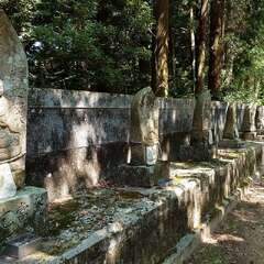 投稿日:2025年6月28日 写真