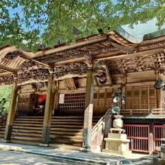 投稿日:2025年6月28日 写真