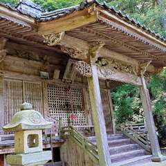 投稿日:2025年6月28日 写真