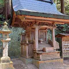 投稿日:2025年6月28日 写真