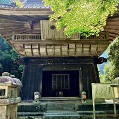 投稿日:2025年6月28日 写真