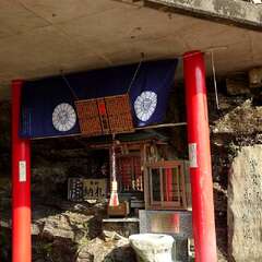 投稿日:2025年5月31日 写真