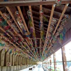 投稿日:2025年5月31日 写真