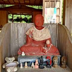 投稿日:2025年5月31日 写真