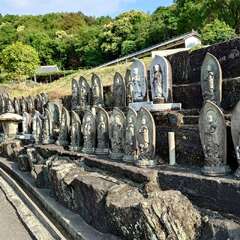 投稿日:2025年5月31日 写真