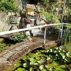 投稿日:2025年5月31日 写真