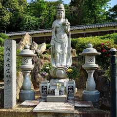 投稿日:2025年5月31日 写真