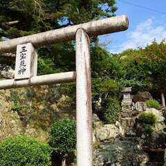 投稿日:2025年5月31日 写真