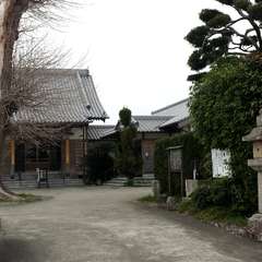 天然記念物「大いちょう」と本堂。(投稿日:2015年3月18日) 写真