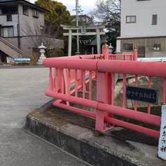 投稿日:2024年12月28日 写真