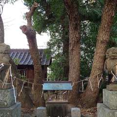 投稿日:2024年12月28日 写真