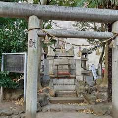 投稿日:2024年12月28日 写真