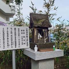 投稿日:2024年12月28日 写真