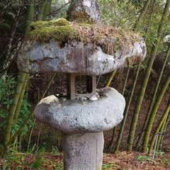 投稿日:2023年12月31日 写真