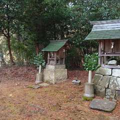 投稿日:2023年12月31日 写真