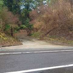 投稿日:2023年12月31日 写真