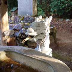 投稿日:2023年12月31日 写真