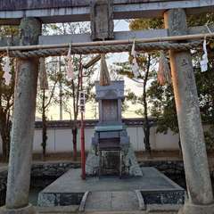 投稿日:2024年1月14日 写真