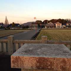 投稿日:2024年1月14日 写真