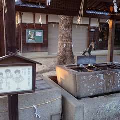 投稿日:2024年1月14日 写真