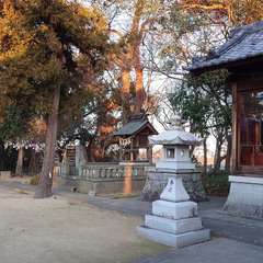 投稿日:2024年1月14日 写真