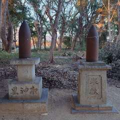 投稿日:2024年1月14日 写真