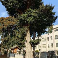 投稿日:2023年12月30日 写真