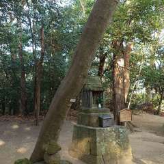 投稿日:2023年12月29日 写真