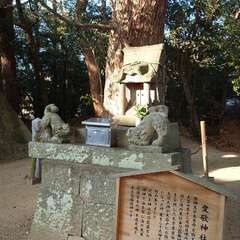 投稿日:2023年12月29日 写真