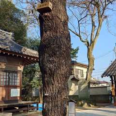 投稿日:2023年12月29日 写真