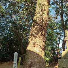 投稿日:2023年12月29日 写真