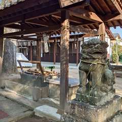 投稿日:2023年12月29日 写真