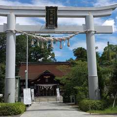 投稿日:2019年8月13日 写真