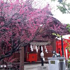 投稿日:2015年3月1日 写真