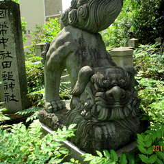 投稿日:2025年7月2日 写真