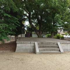 投稿日:2024年5月11日 写真