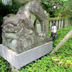 投稿日:2025年7月2日 写真