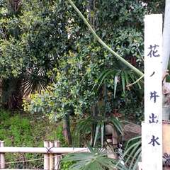 投稿日:2015年4月12日 写真