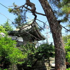 投稿日:2025年7月2日 写真