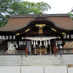 投稿日:2025年7月2日 写真