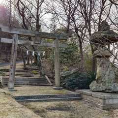 投稿日:2024年2月3日 写真