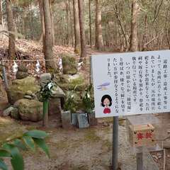 投稿日:2024年2月3日 写真