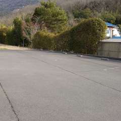 投稿日:2024年2月3日 写真